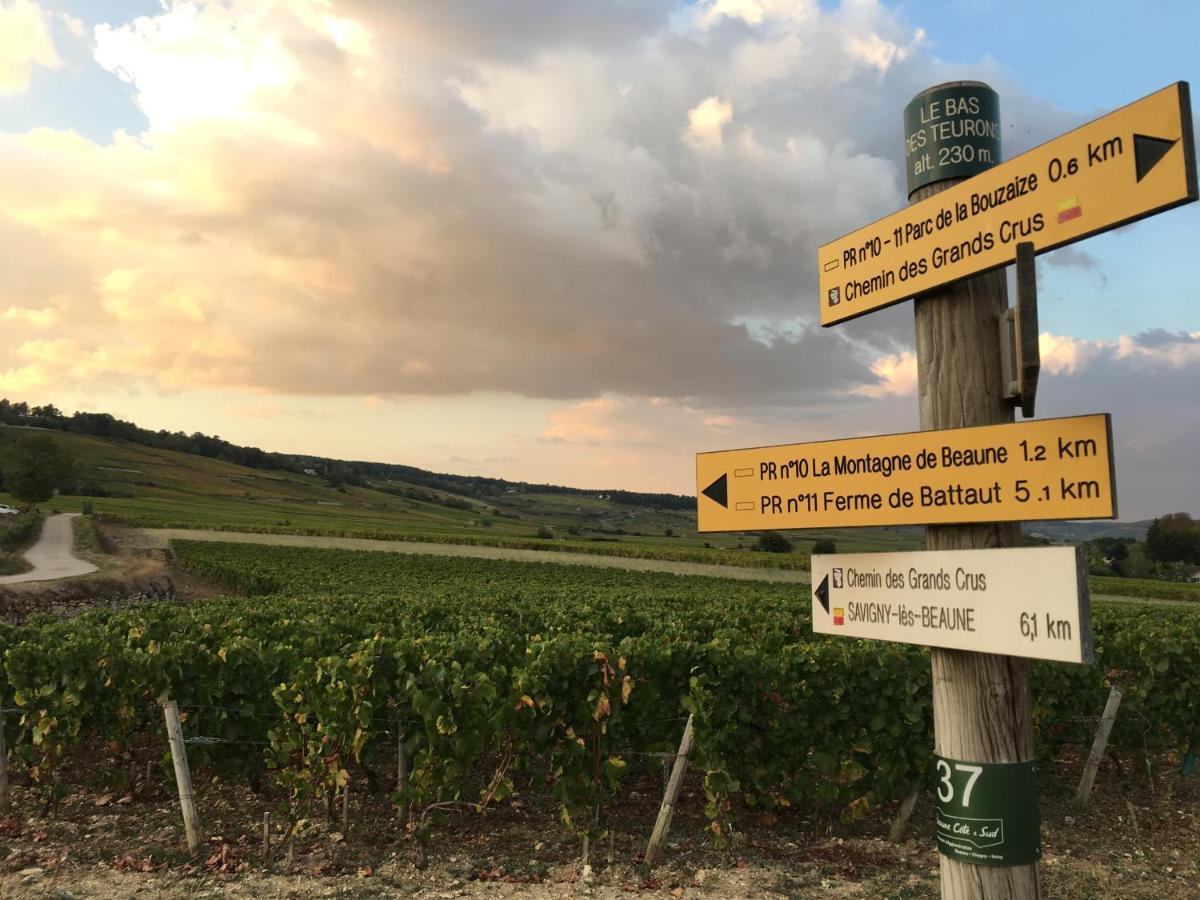 Le Gite De Tassigny Meursault Exteriör bild
